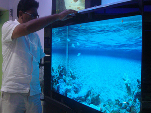 Foto de Aquarium Design India