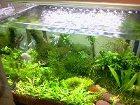 Fotos de Aquarium Design India