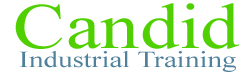 Candid Industrial Training Chennai