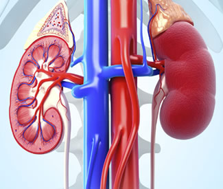 Dhanvanthri Clinic Chennai