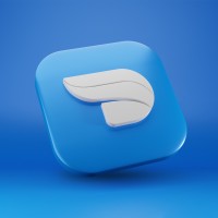 Domaincer Chennai