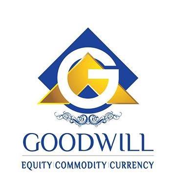 Goodwill Comtrades Pvt.Ltd Chennai