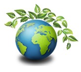 Green Globe Enterprises Chennai