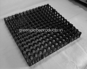 Foto de Green Globe Enterprises