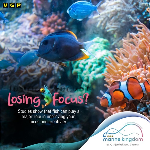 VGP Marine Kingdom Chennai
